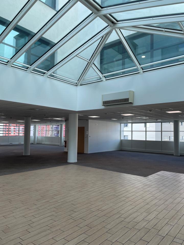 Bureau Lyon 1333m² Location bureau Lyon Rhône OLBUR2309478 10